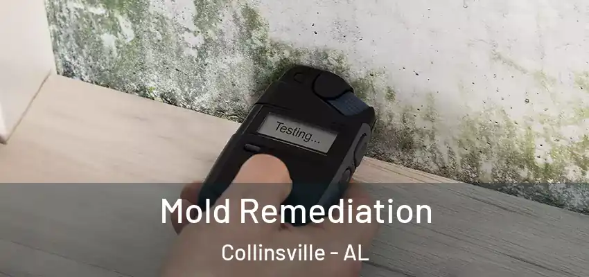 Mold Remediation Collinsville - AL