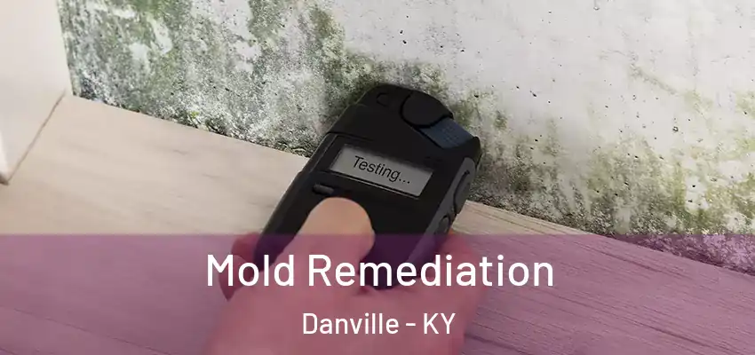  Mold Remediation Danville - KY