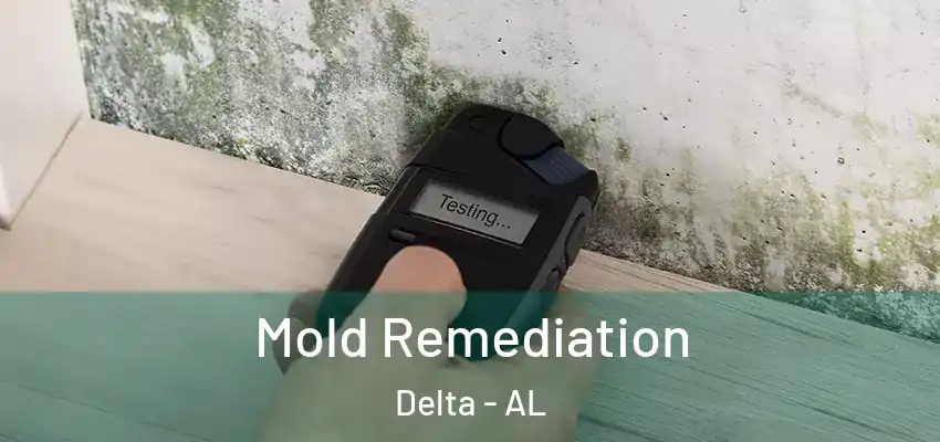  Mold Remediation Delta - AL