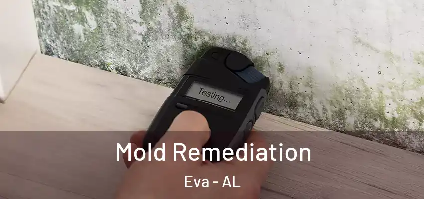  Mold Remediation Eva - AL