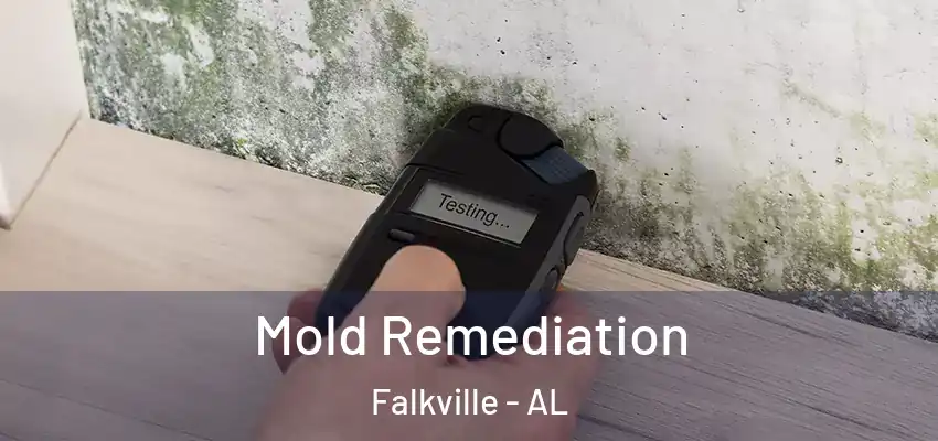 Mold Remediation Falkville - AL