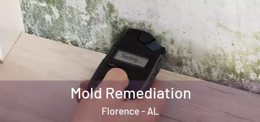 Mold Remediation Florence - AL