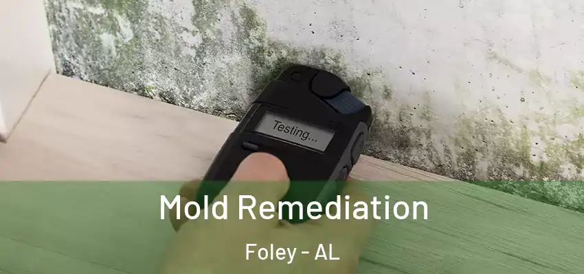  Mold Remediation Foley - AL