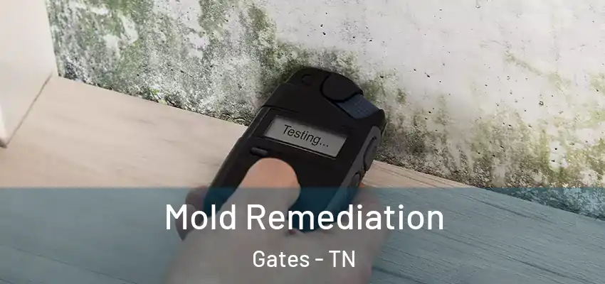  Mold Remediation Gates - TN