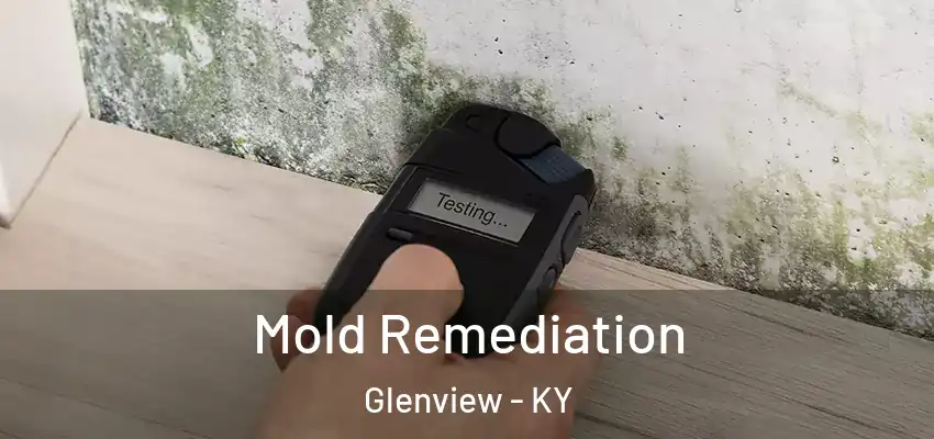  Mold Remediation Glenview - KY