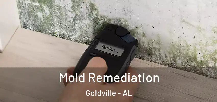  Mold Remediation Goldville - AL