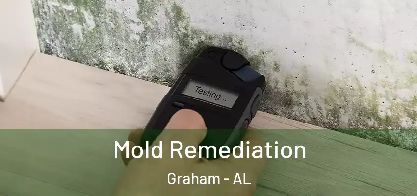 Mold Remediation Graham - AL