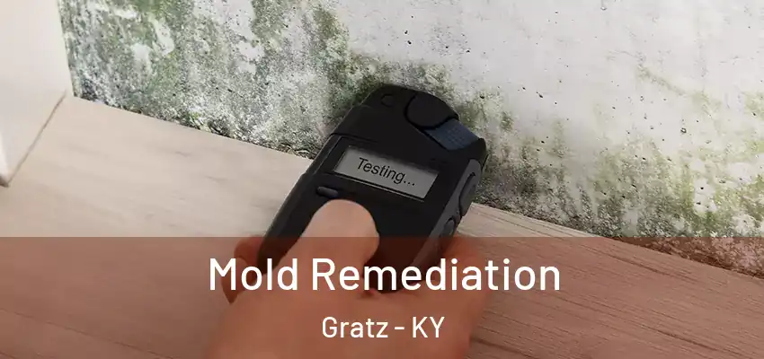  Mold Remediation Gratz - KY