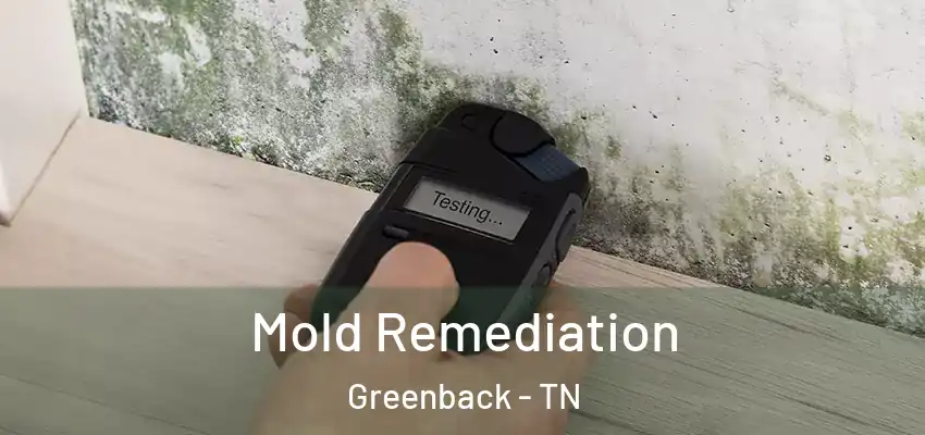  Mold Remediation Greenback - TN