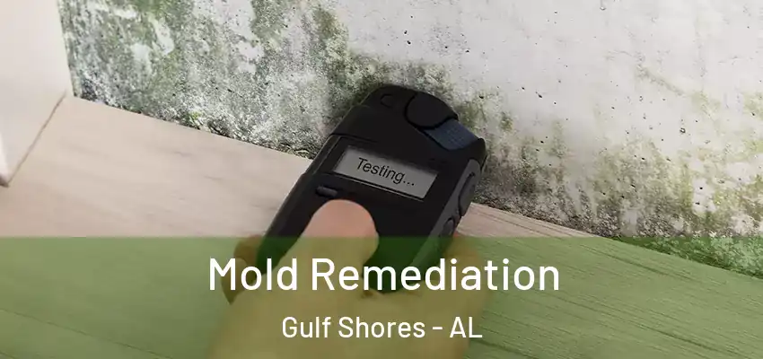 Mold Remediation Gulf Shores - AL