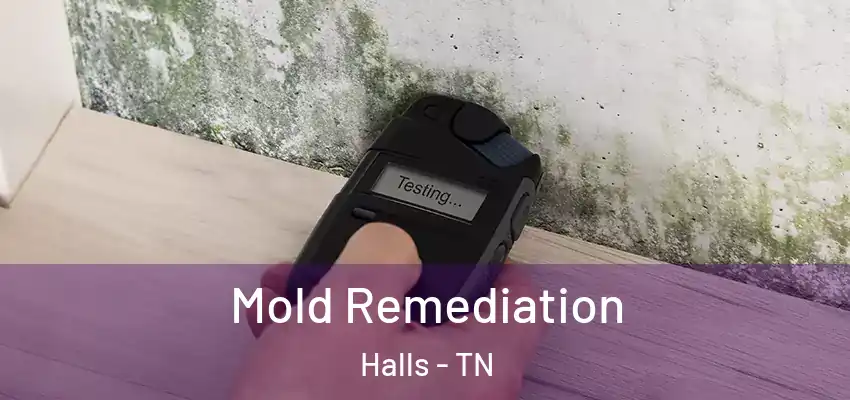  Mold Remediation Halls - TN