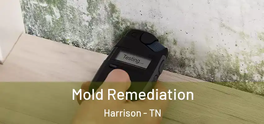  Mold Remediation Harrison - TN