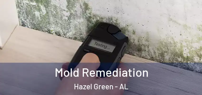 Mold Remediation Hazel Green - AL