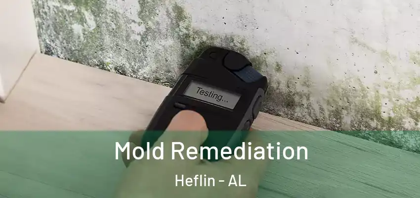 Mold Remediation Heflin - AL