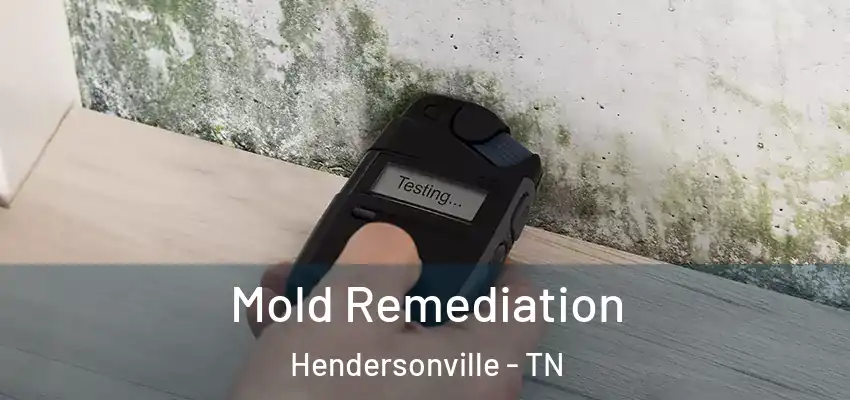  Mold Remediation Hendersonville - TN