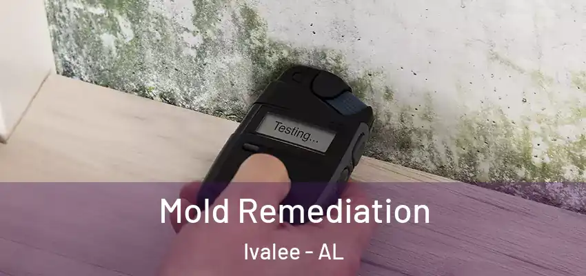  Mold Remediation Ivalee - AL