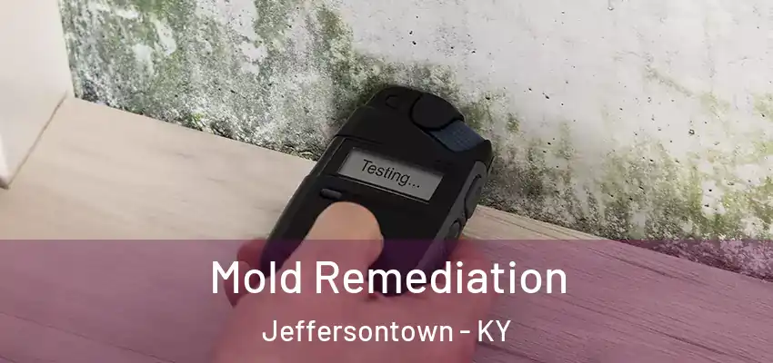 Mold Remediation Jeffersontown - KY