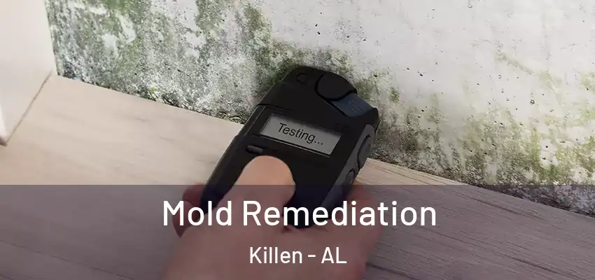 Mold Remediation Killen - AL