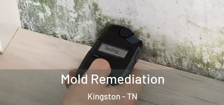  Mold Remediation Kingston - TN