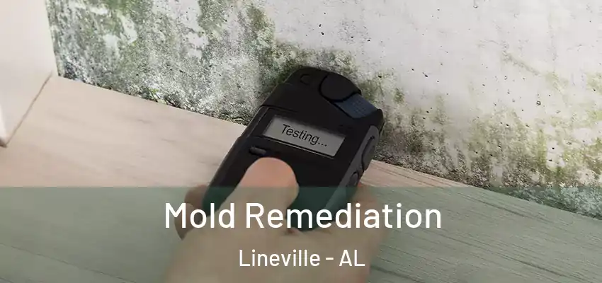  Mold Remediation Lineville - AL