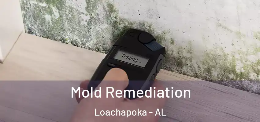  Mold Remediation Loachapoka - AL