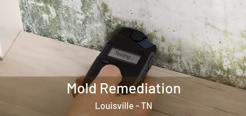  Mold Remediation Louisville - TN