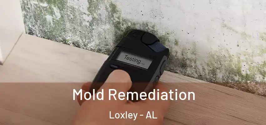 Mold Remediation Loxley - AL