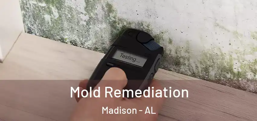  Mold Remediation Madison - AL