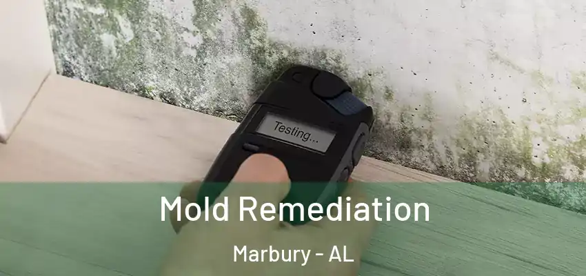  Mold Remediation Marbury - AL