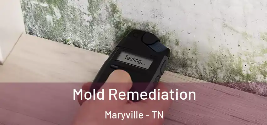 Mold Remediation Maryville - TN