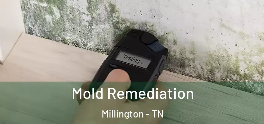  Mold Remediation Millington - TN