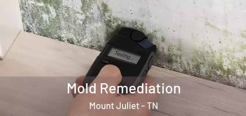 Mold Remediation Mount Juliet - TN