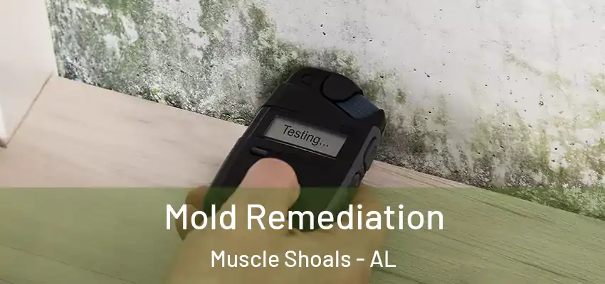 Mold Remediation Muscle Shoals - AL