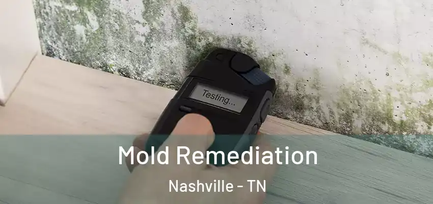 Mold Remediation Nashville - TN