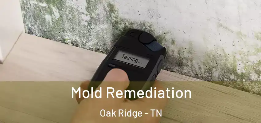 Mold Remediation Oak Ridge - TN