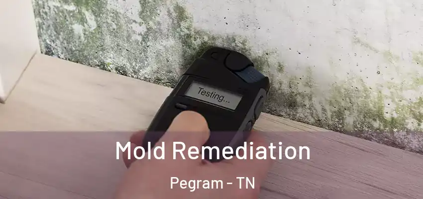 Mold Remediation Pegram - TN