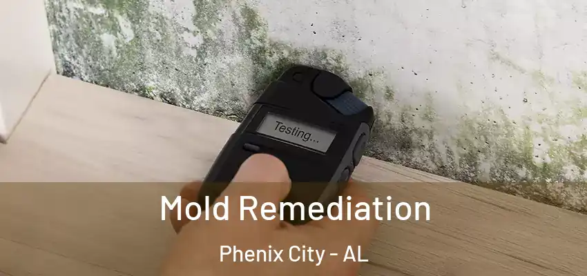  Mold Remediation Phenix City - AL