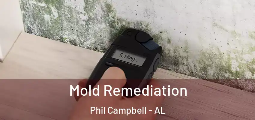  Mold Remediation Phil Campbell - AL
