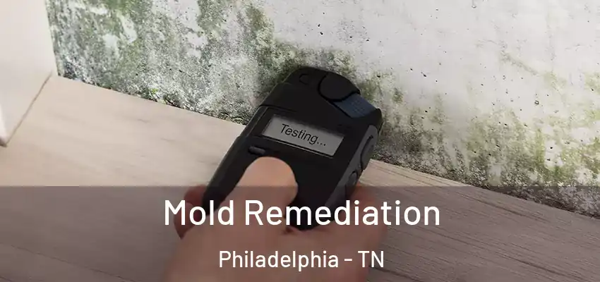 Mold Remediation Philadelphia - TN