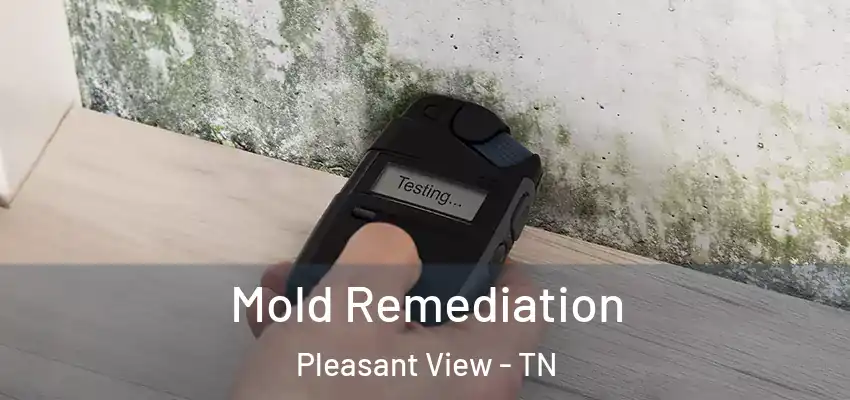  Mold Remediation Pleasant View - TN