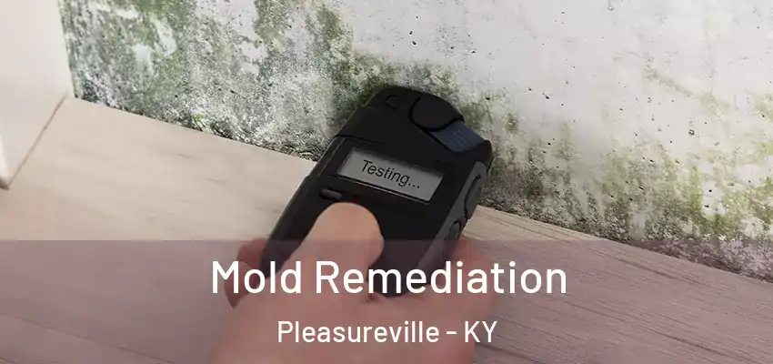 Mold Remediation Pleasureville - KY