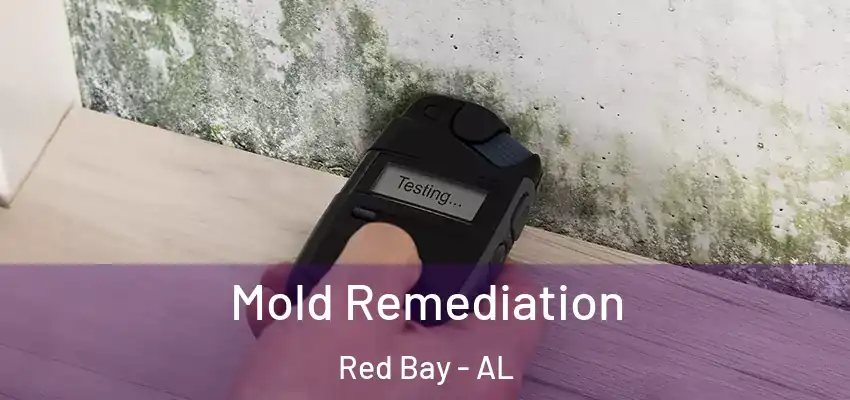 Mold Remediation Red Bay - AL