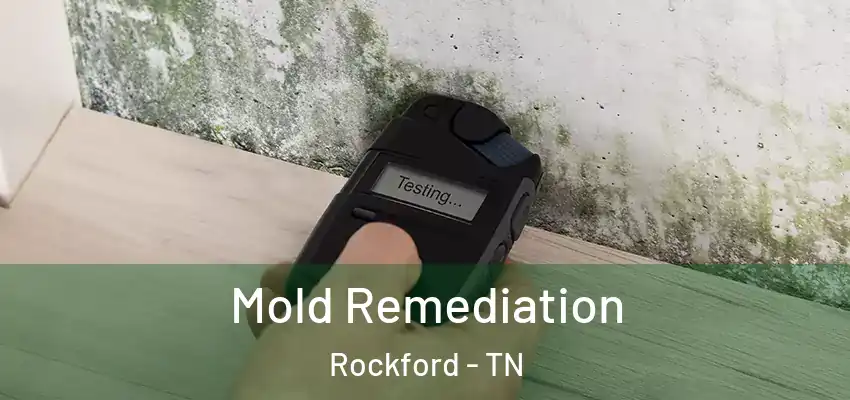  Mold Remediation Rockford - TN