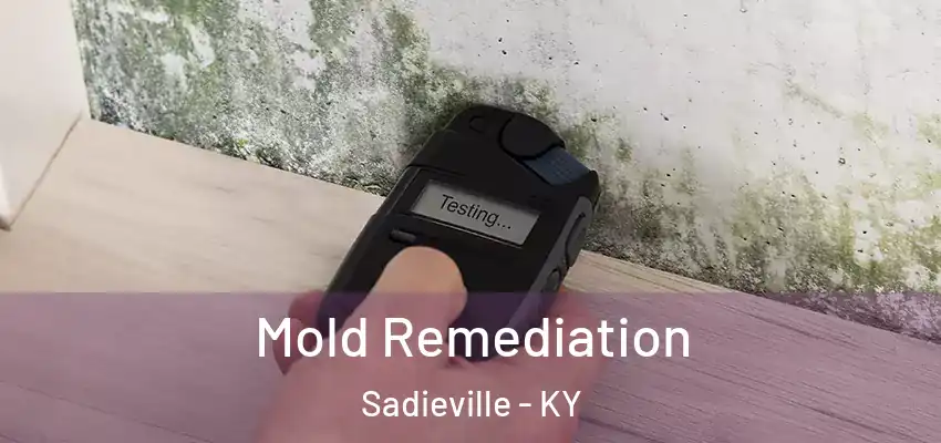  Mold Remediation Sadieville - KY