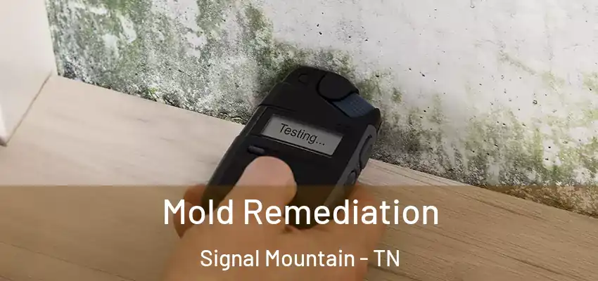 Mold Remediation Signal Mountain - TN