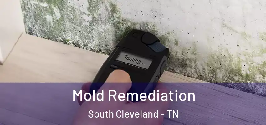  Mold Remediation South Cleveland - TN