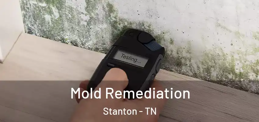  Mold Remediation Stanton - TN