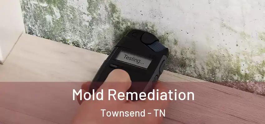 Mold Remediation Townsend - TN