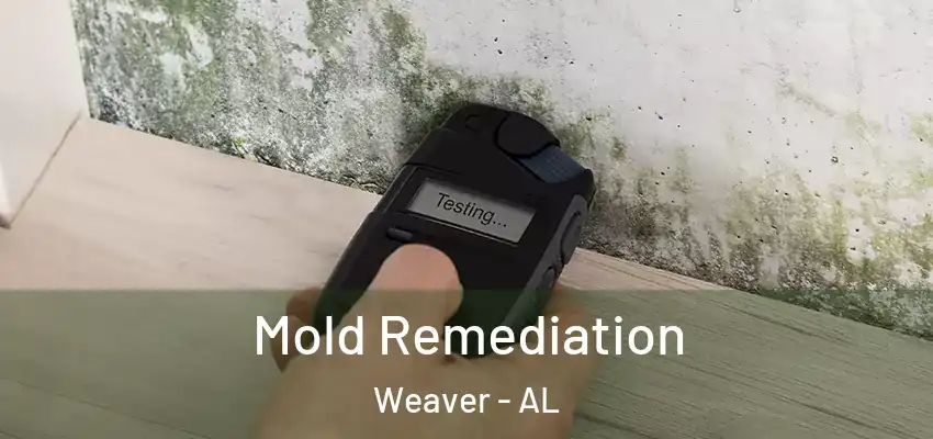 Mold Remediation Weaver - AL