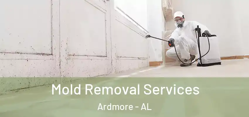  Mold Removal Services Ardmore - AL